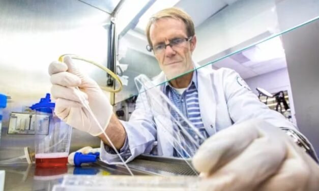 Trasplantes de células madre abren esperanza para pacientes con párkinson