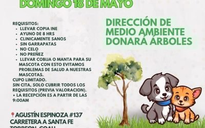 Jornada de esterilización gratuita en Torreón este domingo: bienestar animal y conciencia ambiental