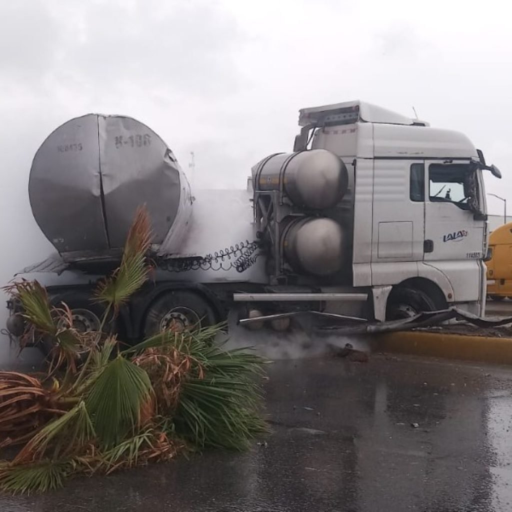 El vehículo derribó dos luminarias, una señal de tránsito y una palmera.