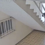 Feminicidio de Lorena Morales sacude Guanajuato: su jefe es el principal sospechoso