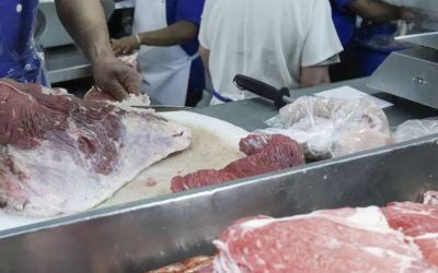 Plaga en México dispara alerta en EE.UU.: escasez de carne y alza de precios por suspensión de exportaciones