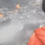 Mueren tres personas en accidente aéreo durante combate al gusano barrenador en Chiapas