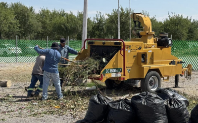 Torreón impulsa el acolchado vegetal como estrategia sostenible para cuidar sus áreas verdes