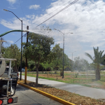 Torreón reutiliza más de 2 millones de litros de agua de lluvia para áreas verdes