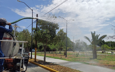Torreón reutiliza más de 2 millones de litros de agua de lluvia para áreas verdes