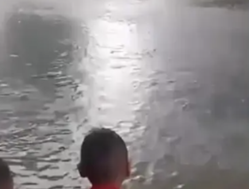 Rayo impacta árbol cerca de niños en parque de Monclova; llaman a extremar precauciones por tormentas