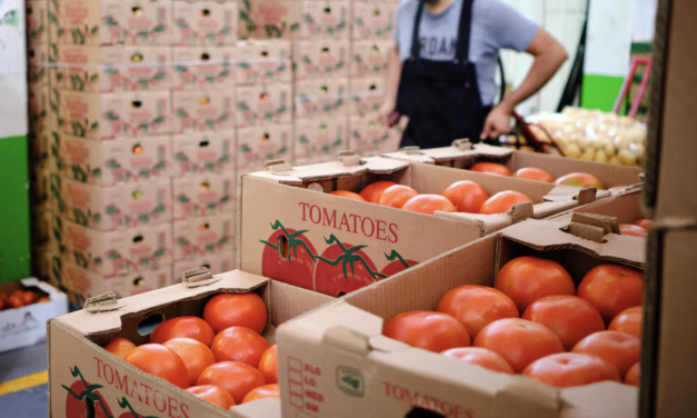 Estados Unidos impone arancel del 17% al tomate mexicano: peligra un mercado de 2.800 millones de dólares