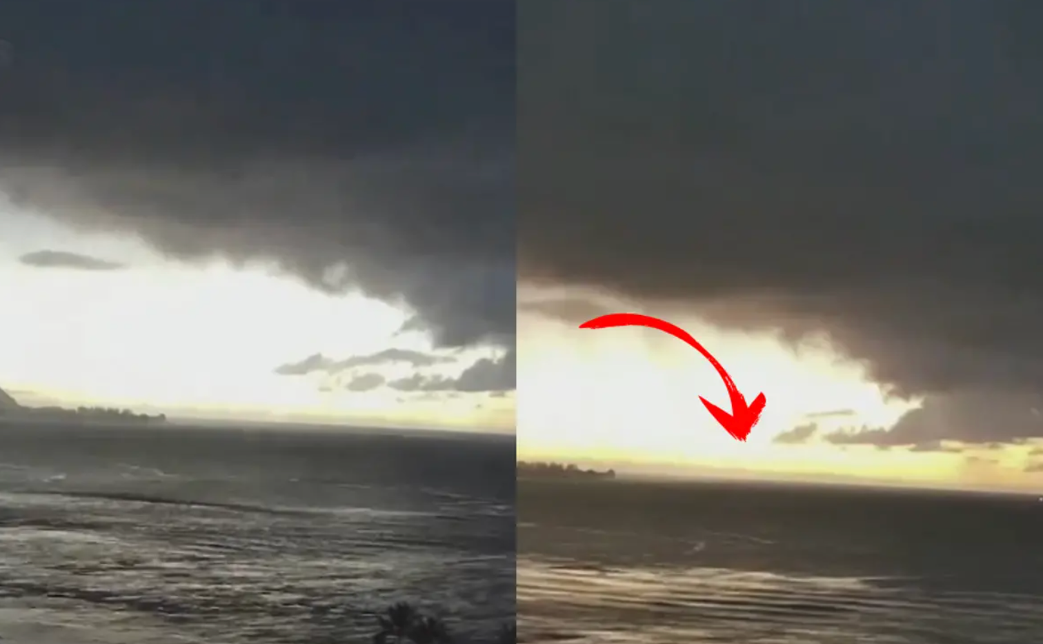 Video capta retroceso del mar en Hawái y primeras olas del tsunami tras sismo de 8.8 en Kamchatka, Rusia