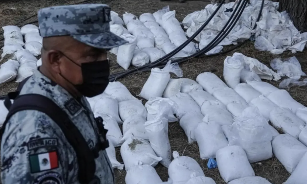 Operación Frontera: más de 6,600 detenidos y 5,000 armas aseguradas en ocho meses