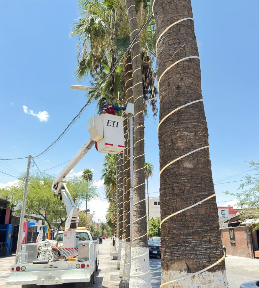 Amplían iluminación del Paseo Morelos hasta la Plaza de Armas