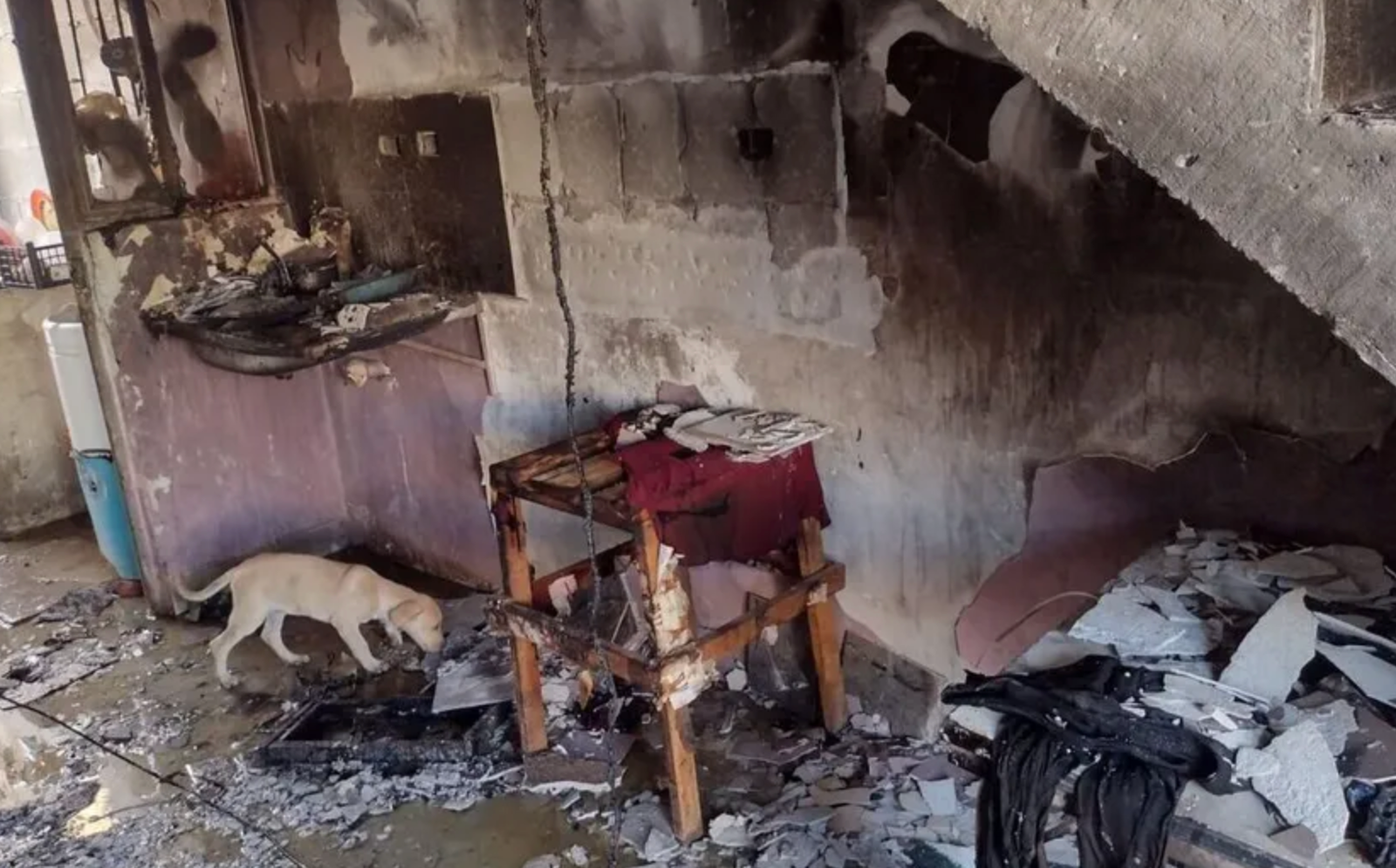 Incendio consume una vivienda en la colonia Monterreal; no hubo lesionados