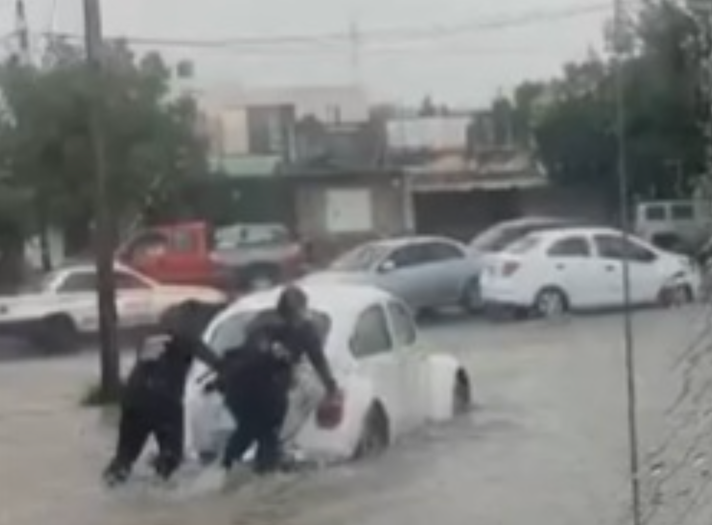 Lluvias y fuertes vientos en Saltillo provocan caída de árboles y daños en semáforo