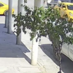 Mujer de la tercera edad denuncia a taxista en Torreón por presunto robo de su mercancía