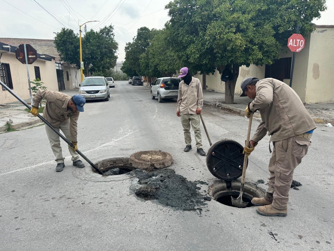 6d6621a3-0df4-4652-af9e-566e4d433c84