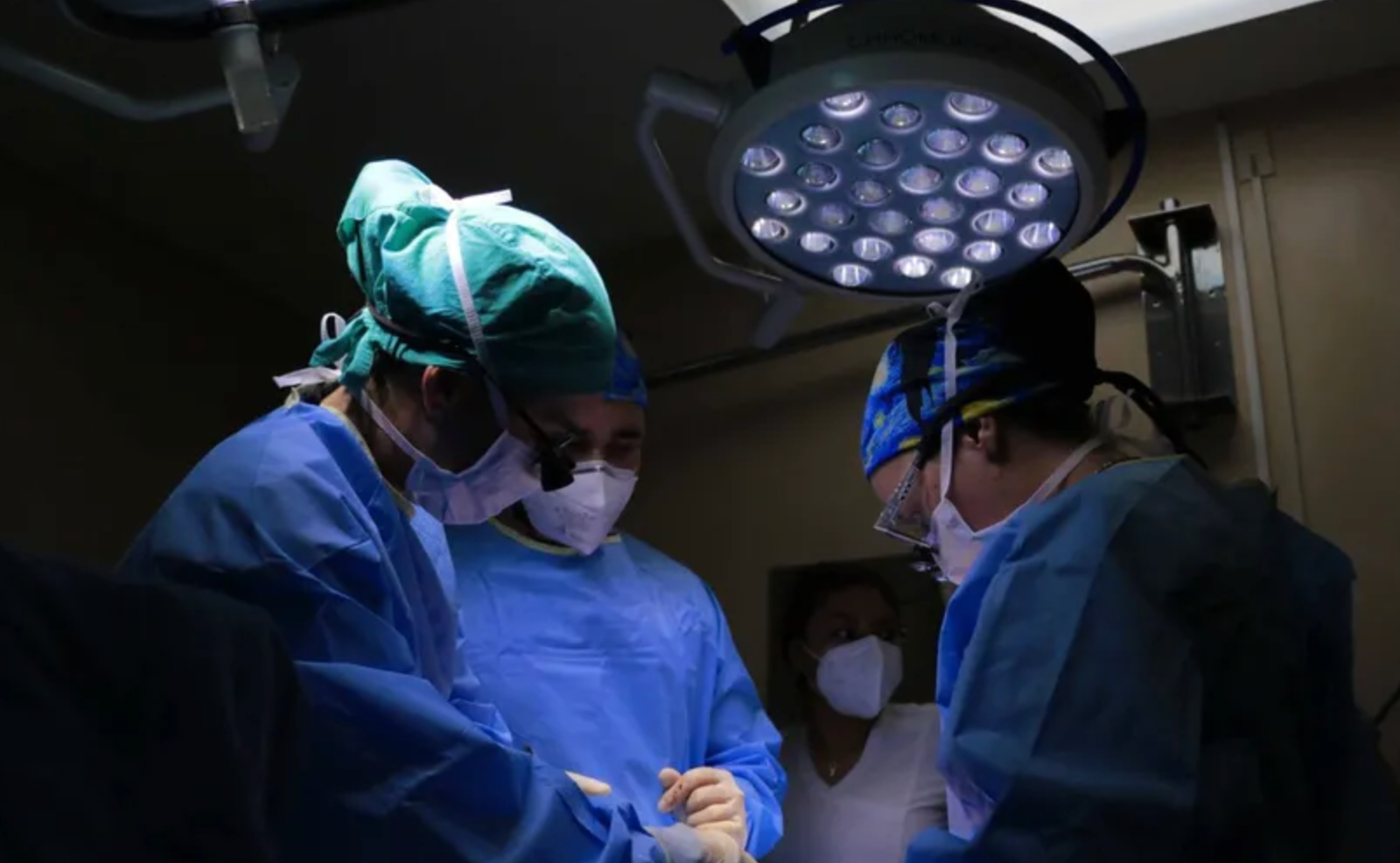 donaciones cadavéricas