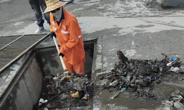 Servicios Públicos recolecta 5 toneladas de basura tras lluvias en Torreón