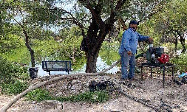 Trabajador sufre grave ataque de abejas mientras realizaba labores en Urbivillas