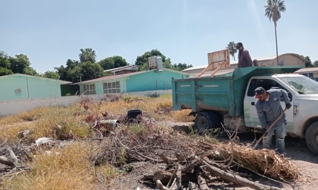 Instruye Susy Torrecillas creación de brigada especial de Servicios Públicos para escuelas en Lerdo