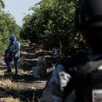 El crimen se adueña del limón: Michoacán vive bajo las cuotas y el miedo tras el asesinato de Bernardo Bravo