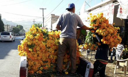 Comerciantes del Mercado de las Flores piden freno al ambulantaje por afectar sus ventas en Torreón