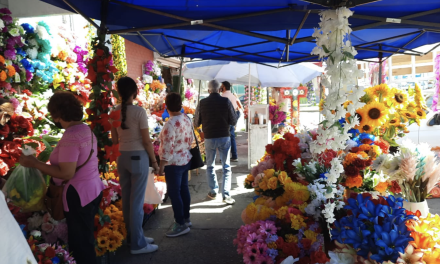 Refuerzan vigilancia en zonas comerciales de Torreón por Halloween y Día de Muertos