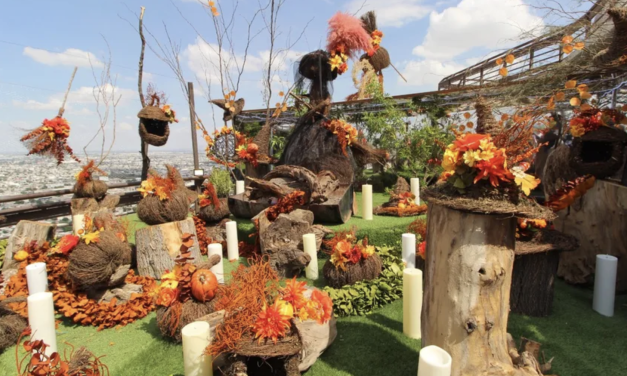 El Puerto Noas estrena su “Exposición de Otoño” con decoración temática y vista panorámica de La Laguna
