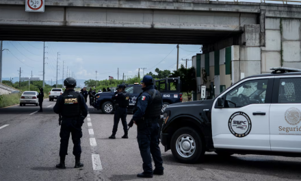 Enfrentamiento en Guasave deja 13 muertos y nueve personas liberadas durante operativo federal contra el Cártel de Sinaloa