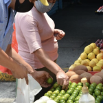 La inflación repunta en México: electricidad, transporte y servicios elevan los precios en noviembre