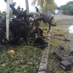 Suman seis muertos por explosión de vehículo en Coahuayana; FGR atrae el caso por delincuencia organizada