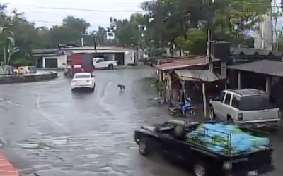 Coche bomba en Michoacán: Harfuch confirma dos ocupantes y pugna criminal detrás del ataque