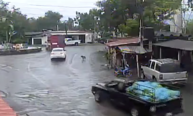 Coche bomba en Michoacán: Harfuch confirma dos ocupantes y pugna criminal detrás del ataque