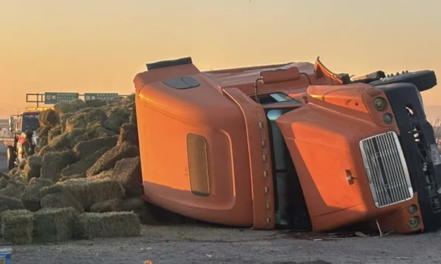 Vuelca tráiler cargado con 30 toneladas de alfalfa en Gómez Palacio