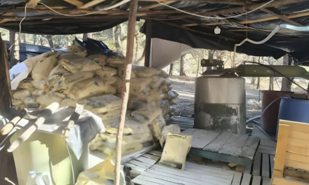 Golpe al crimen organizado: desmantelan laboratorio clandestino en Durango y capturan a “Delta 1” en Jalisco