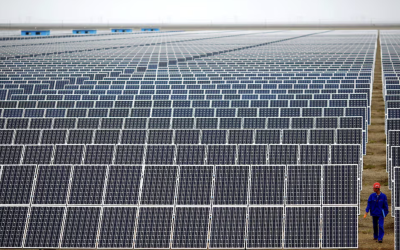 Las energías renovables superan al carbón por primera vez y marcan el avance científico del año