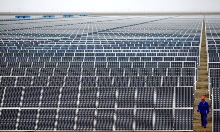 Las energías renovables superan al carbón por primera vez y marcan el avance científico del año