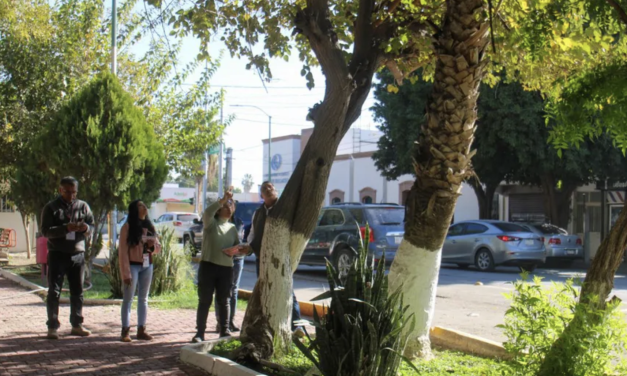 Arrancan proyecto integral para evaluar el arbolado del Parque Morelos en Gómez Palacio
