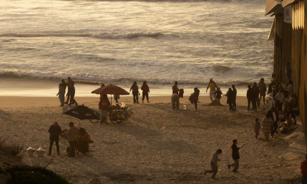 Solo seis playas de México no son aptas para nadar en vacaciones decembrinas: Cofepris