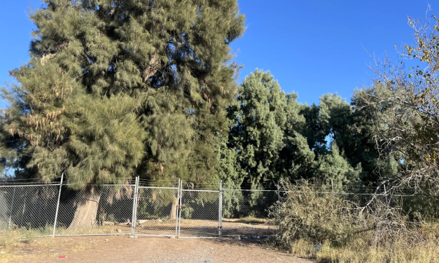 Municipio busca recuperar predio de La Rosita tras extinción del contrato con PASA