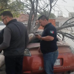 Fuertes vientos por frente frío 25 provocan caída de árboles y una barda en La Laguna