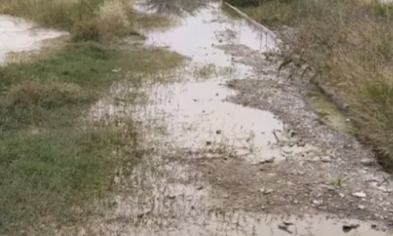 Desperdicio de agua limpia persiste en el vado del río Nazas por tubería dañada