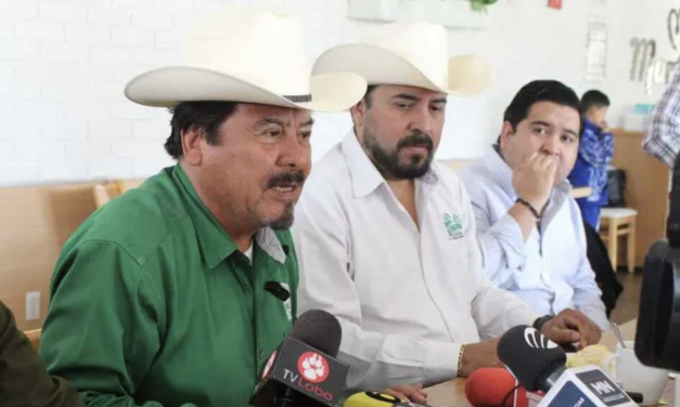 Onappafa se pronuncia contra la cancelación del decreto para regularizar autos “chocolate”